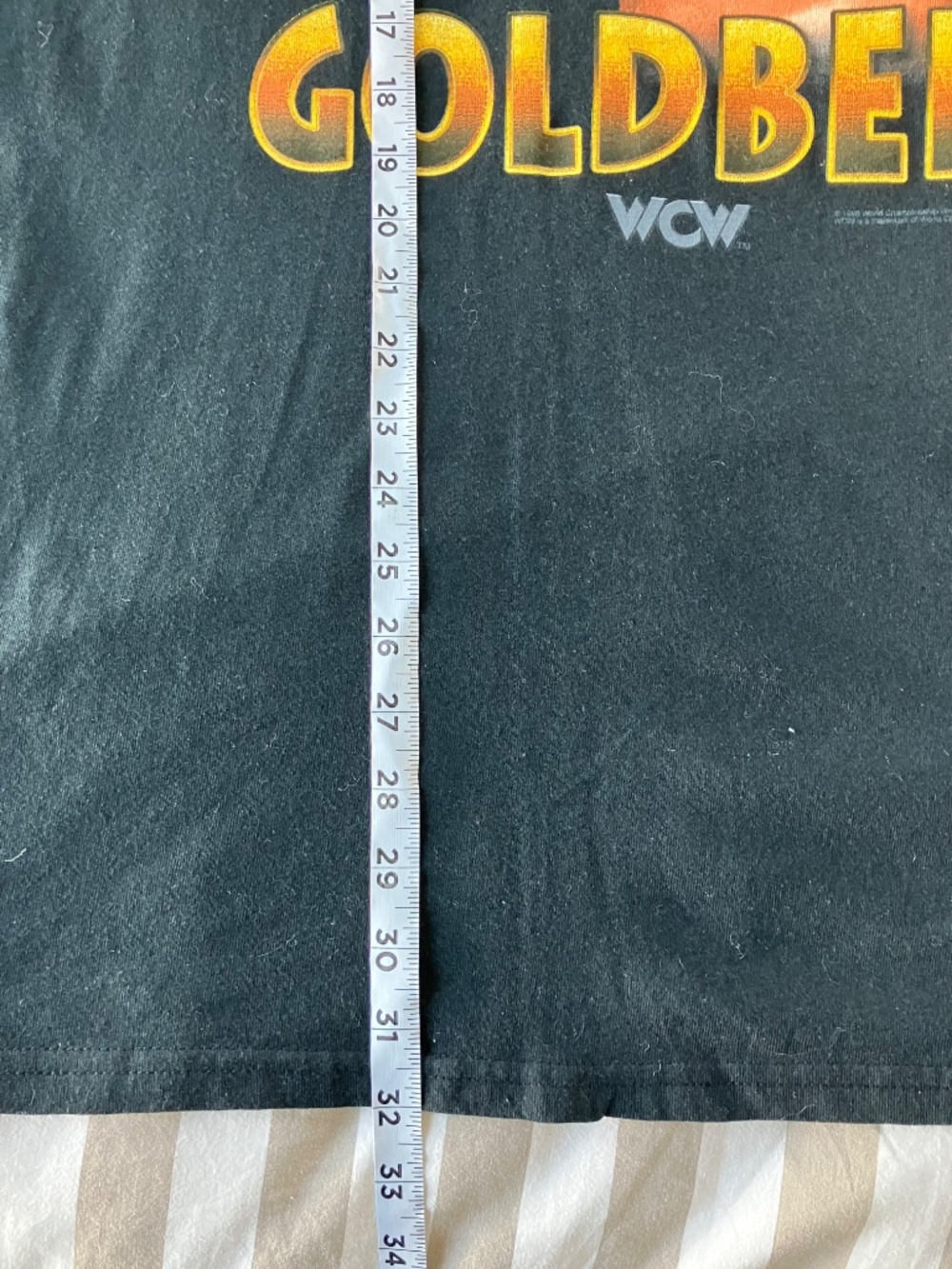 Vintage Deadstock 90s WCW / WWE Goldberg Tultex Black Tee Size XL - Picture 5 of 5